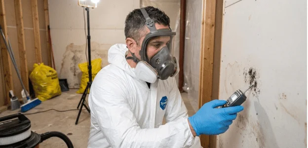 Mold Remediation